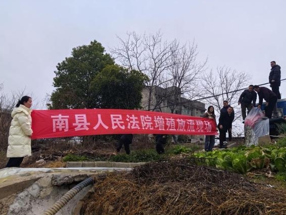微信截图_20250213111938