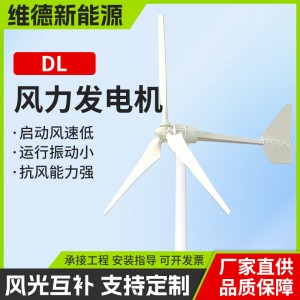 DL风力发电机组大功率10KW30KW新能源高效率水平风车供电节能