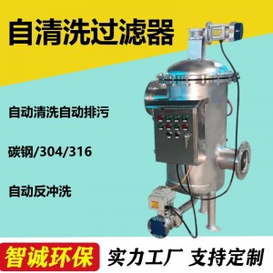 全自动自清洗过滤器不锈钢304 自动反冲洗刷自清洁 废水水处理