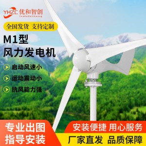 家用风光互补发电机 微型风力发电机路灯监控 新能源风力发电厂家