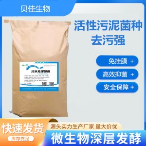 脏废水污水处理菌剂好氧菌填料挂膜培养菌种河道黑臭污泥 处理菌剂