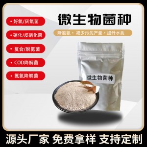 微生物菌种 污水处理反硝化菌降氨氮除COD曝气池异养硝化细菌