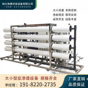 反渗透水处理设备大型工业商用净水器ro去离子1-100吨直饮超纯水