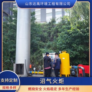 不锈钢沼气火炬内燃火炬餐厨垃圾焚烧处理废气燃烧 沼气燃烧火炬