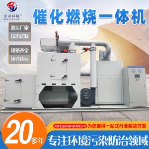 厂家供应废气处理RCO催化燃烧一体机蓄热式废气焚烧炉用 催化燃烧