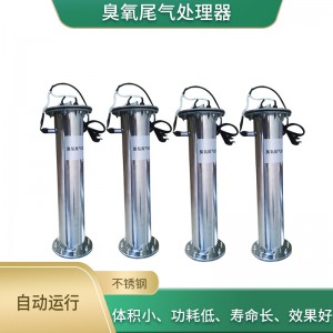 臭氧尾气破坏器 臭氧发生器毁灭器 臭氧尾气分解处理器
