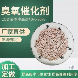 煤化工废水处理臭氧催化剂 COD去除率高达80%提高臭氧利用率
