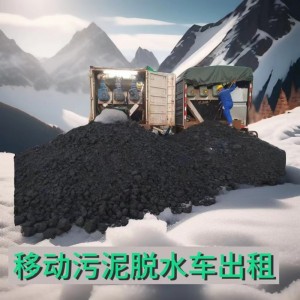 污泥脱水车出租移动污泥脱水污泥处理车厂家租赁污泥处理污水净化
