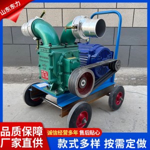 抽粪机干湿两用抽泥浆泵鱼塘抽泥泵新款直吸泵专用家用强力排污泵
