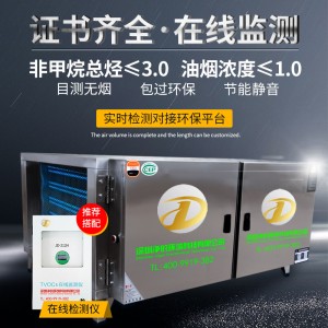 烧烤餐饮大型油烟净化器工业油烟净化器各种型号的低空油烟净化器
