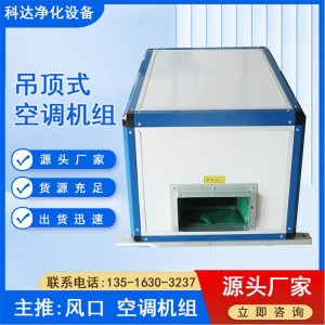 吊顶式空调机组厂家 商用环保型新风换气机厂家加工