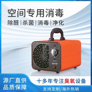小型臭氧发生器 臭氧空气消毒设备手提式 小型10g臭氧机发生器