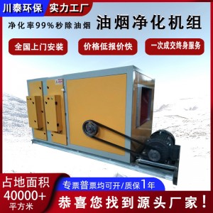 工业低空静电油烟净化机组厨房餐饮设备自动排烟净化器高效油烟净