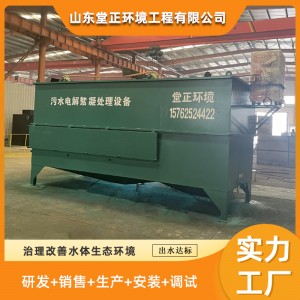 电解催化氧化反应还原设备 电絮凝气浮机 小型试验机 堂正环境