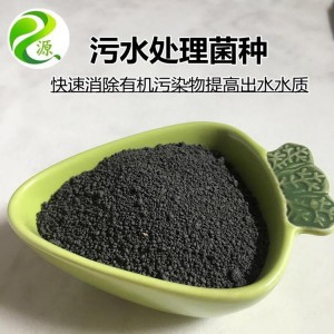 垃圾处理站污水处理 生化系统强化菌 耐低温 抗冲击 易繁殖 复合菌种