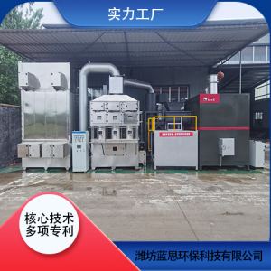 蓝思 垃圾焚烧炉 生活工业秸秆垃圾焚烧处理设备生产厂家 易操作