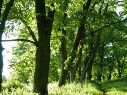 污染源执法监测怎么干？宿迁大力推进污染源“测管联动”工作