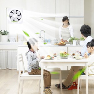 大吸力厨房油烟抽风机静音低噪百叶窗式换气扇卫生间家用排风扇