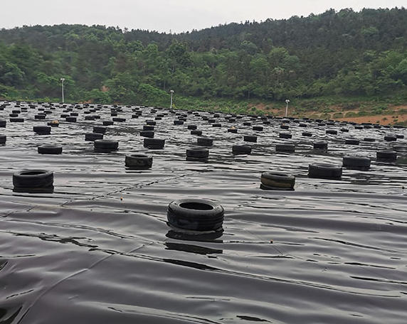 ScreenShot_2025-10-31_141508_766