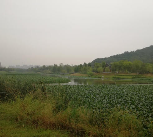 ScreenShot_2025-10-31_144128_917