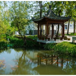 地表水生态修复项目