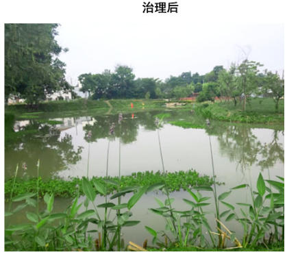 ScreenShot_2025-10-31_144655_541